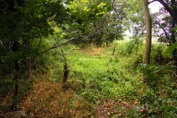 Photo 6"x4" The former Wilts & Berks Canal by Grove Park Drive Ardington Wick c2011