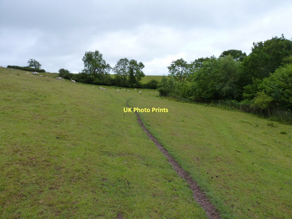 Photo 6"x4" The footpaths split here Wrentnall c2011