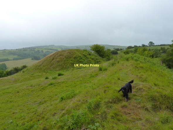 Photo 6"x4" The Knapp at Pulverbatch Pulverbatch c2011