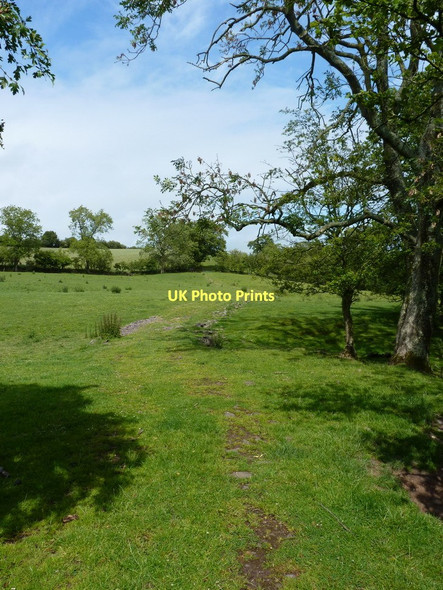 Photo 6"x4" Trackway into the valley Westcott\/SJ4001 c2011