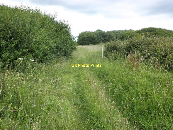 Photo 6"x4" Footpath, to Great Wood Ashfield Green\/TL7655 c2011