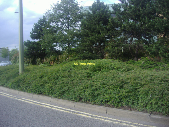 Photo 6"x4" Trees on verge in front of Oxford Business Park Temple Cowley c2011