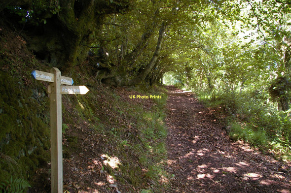 Photo 6"x4" Junction of footpaths, Wootton Common Cowbridge\/SS9542 c2011