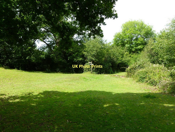 Photo 6"x4" Godshill, footpath junction Fordingbridge c2011