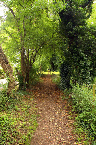 Photo 6"x4" Footpath to Grove Wantage c2011