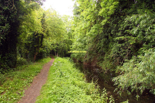 Photo 6"x4" Towpath alongside the Wilts & Berks Canal Wantage c2011
