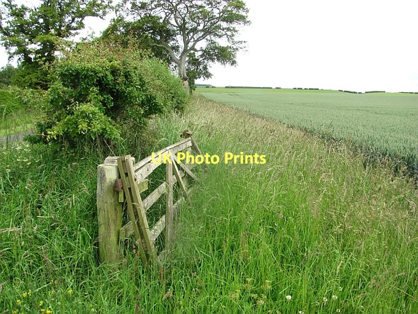 Photo 6"x4" An abandoned gate Easter Softlaw c2011
