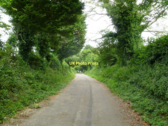 Photo 6"x4" Tarrant Rushton, country lane Tarrant Rushton c2011