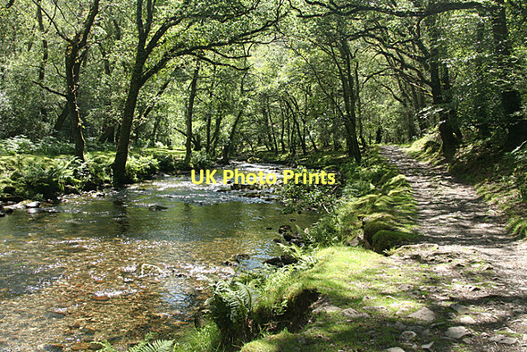 Photo 6"x4" Whitchurch: river Walkham Grenofen c2011