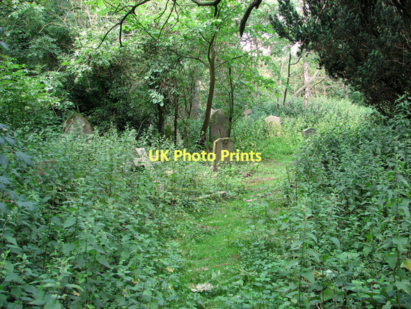 Photo 6"x4" Overgrown churchyard, Gillingham All Saints Beccles c2011