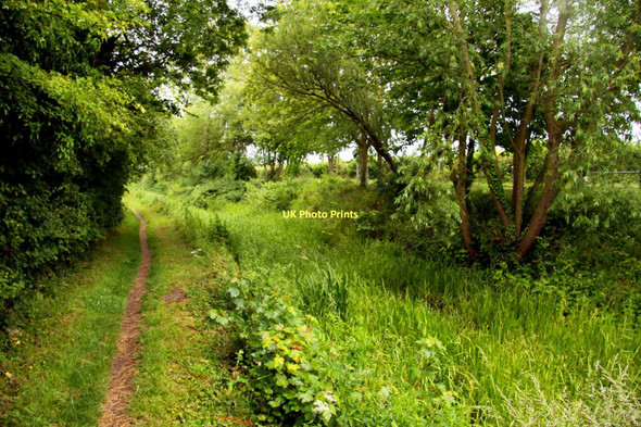 Photo 6"x4" Footpath to East Challow along the canal West Challow c2011