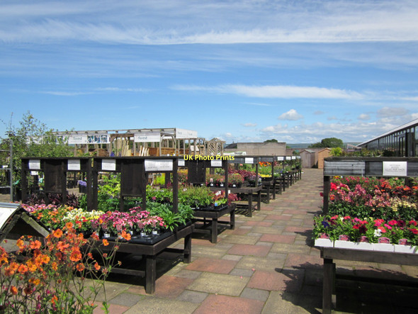 Photo 6"x4" Soleburn Garden Centre Leswalt c2011 P1