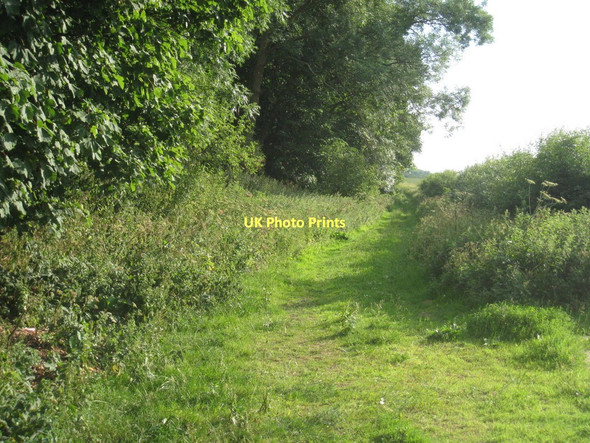 Photo 6"x4" Track to Hazelford Ferry East Stoke\/SK7549 c2011