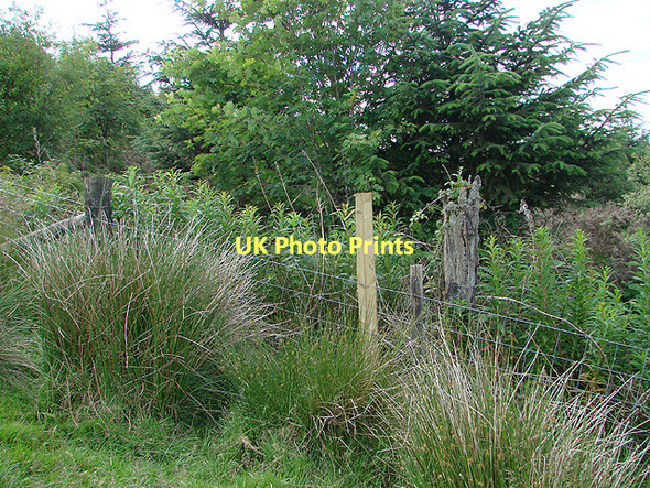 Photo 6"x4" Come on Powys - get a grip! Tynyrwtra\/SN8885 c2011