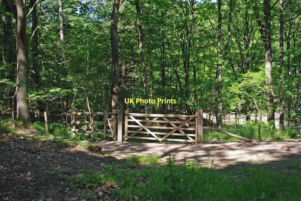 Photo 6"x4" Gated entrance to track in Wyre Forest near Bewdley Bewdley\/SO7875 c2011