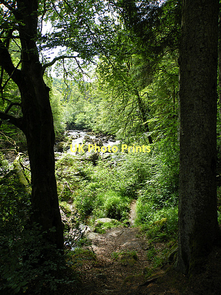 Photo 6"x4" River Braan Inver\/NO0142 c2011