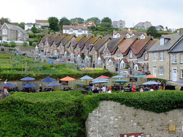 Photo 6"x4" Cottages in Beer, Devon Seaton\/SY2490 c2011