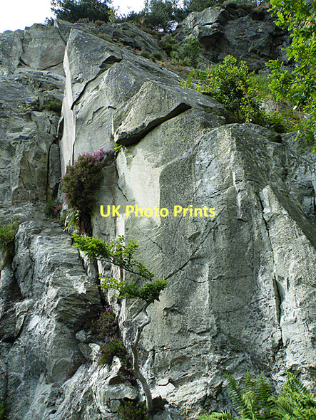 Photo 6"x4" Looking up the Cliff (1) Inver\/NO0142 c2011