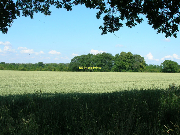 Photo 6"x4" Farmland near Park Farm Skelton\/SE5756 c2011
