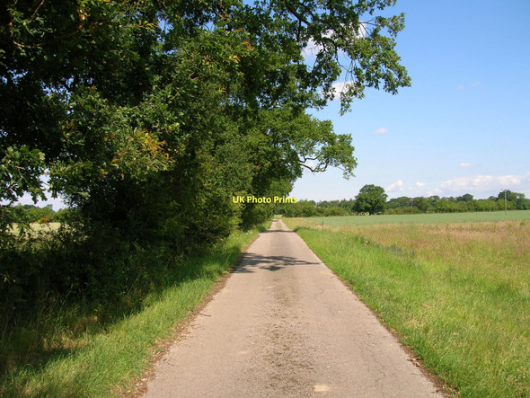 Photo 6"x4" Track to Park Farm Skelton\/SE5756 c2011
