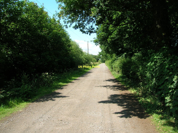 Photo 6"x4" Track to Moorlands Farm Shipton\/SE5558 c2011