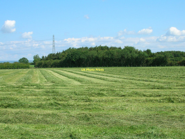 Photo 6"x4" Farmland off Corban Lane Shipton\/SE5558 c2011