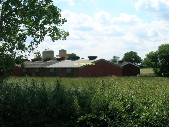 Photo 6"x4" Piggery, Beningbrough Beningbrough c2011