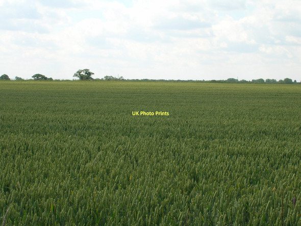 Photo 6"x4" Farmland near Beningbrough Beningbrough c2011
