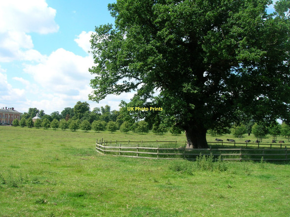 Photo 6"x4" Beningbrough Park Newton-on-Ouse c2011