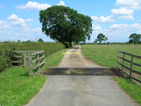 Photo 6"x4" Track to Park House Newton-on-Ouse c2011