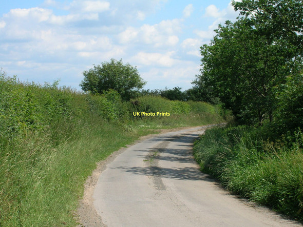 Photo 6"x4" Linton Woods Lane heading east Linton-on-Ouse c2011