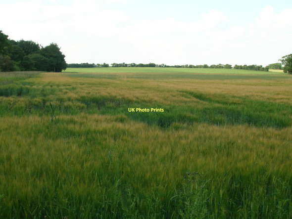 Photo 6"x4" Farmland off Straight Lane Aldwark\/SE4663 c2011