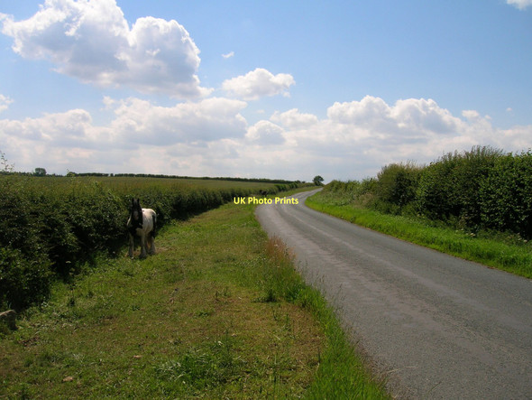 Photo 6"x4" Myton Lane towards Myton-on-Swale Tholthorpe c2011