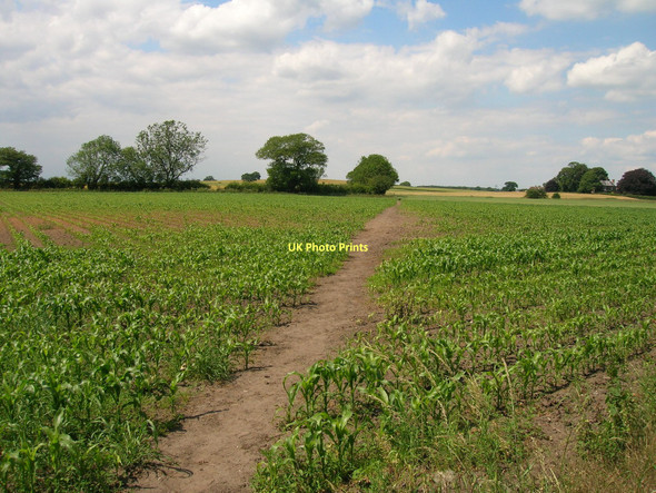 Photo 6"x4" Footpath over fields towards Raskelf Raskelf c2011