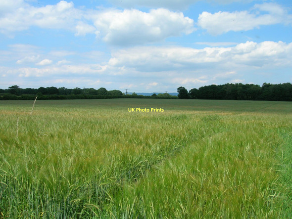 Photo 6"x4" Farmland, Raskelf Moor Raskelf c2011