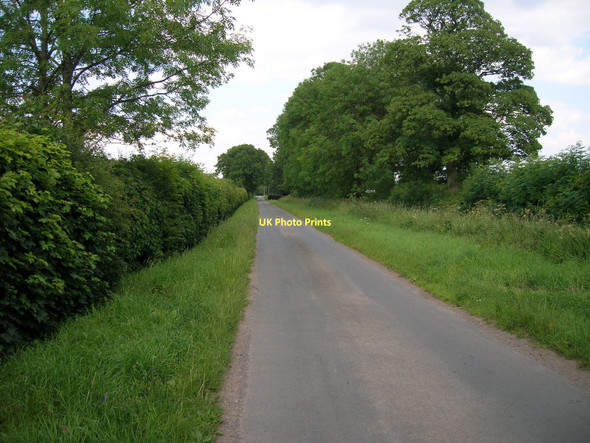 Photo 6"x4" Amblers Lane, Heading east Shipton\/SE5558 c2011