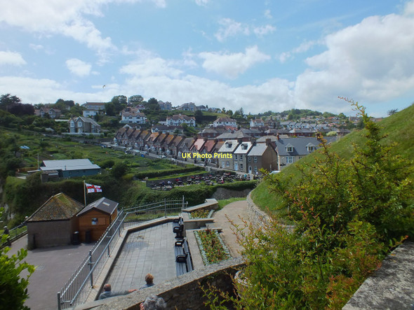 Photo 6"x4" Cottages in Beer, Devon Seaton\/SY2490 c2011