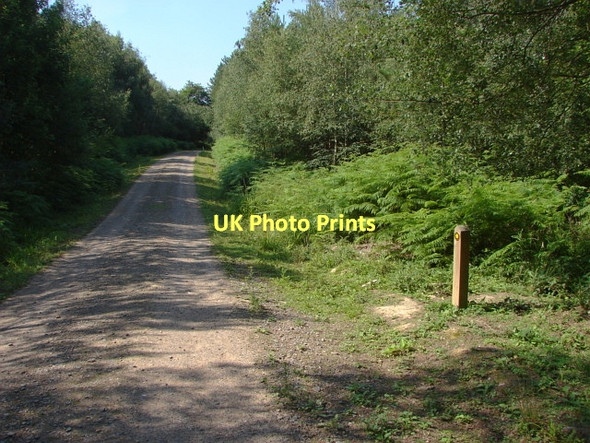 Photo 6"x4" Old Lands Highstreet Green\/SU9835 c2011