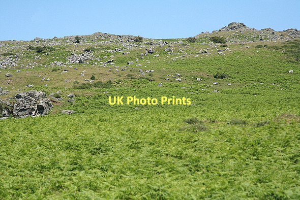 Photo 6"x4" Peter Tavy: beneath Cox Tor Merrivale\/SX5475 c2011
