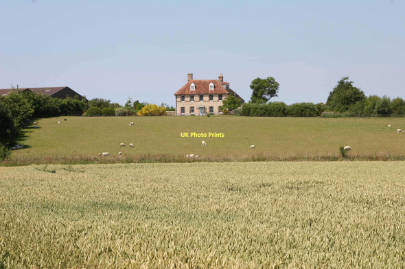 Photo 6"x4" Great Park, Isle of Wight Bowcombe\/SZ4686 c2011