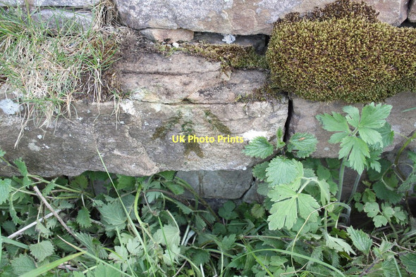 Photo 6"x4" Benchmark on barn on Cliff Gate Road at Cliff Side Thwaite\/SD8998 c2011
