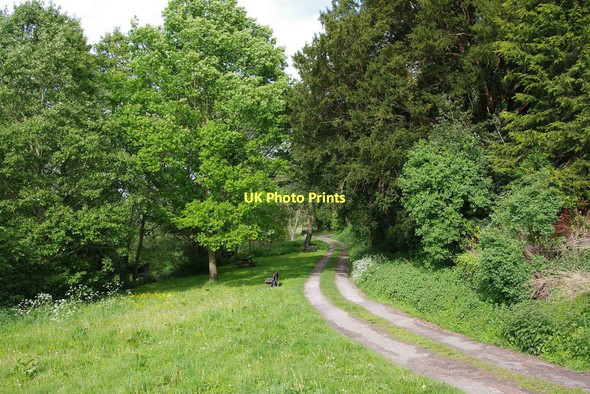 Photo 6"x4" Public footpath by River Arrow, Pembridge Pembridge c2011
