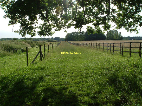 Photo 6"x4" Footpath to Hensting Hensting c2010