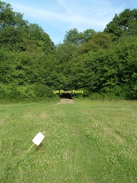 Photo 6"x4" The hole in the woods Hensting c2010