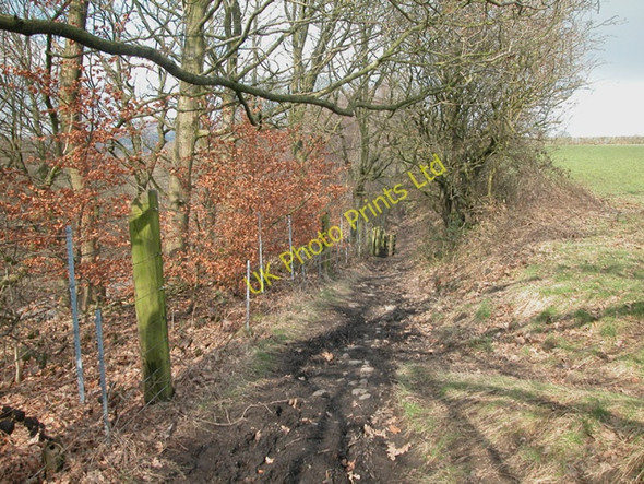 Photo 6"x4" Near Chest Wheel Farm Ramsbottom c2006