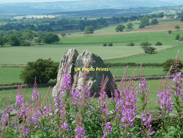 Photo 6"x4" Rural landscape near Almscliff Crag Newby\/SE2647 c2011