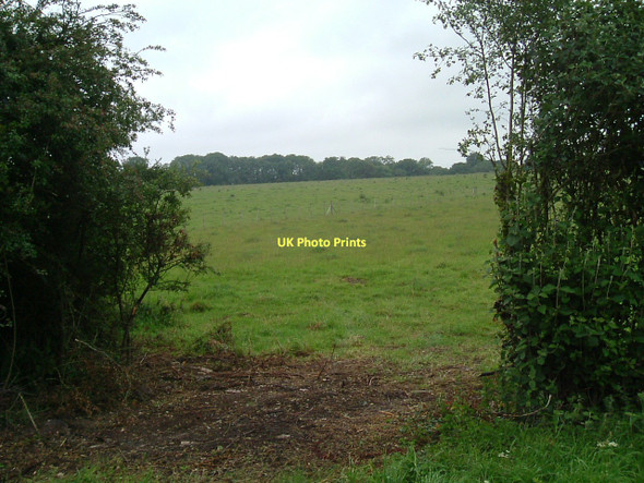 Photo 6"x4" Gap in the verge Owslebury c2011