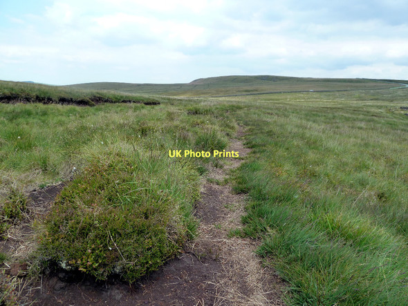 Photo 6"x4" Moorland path under Birchenough Hill Wildboarclough c2011