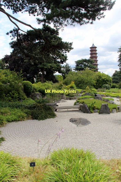 Photo 6"x4" Japanese Garden, Kew Gardens, London Brentford c2011