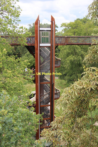 Photo 6"x4" Xstrata Tree Walk, Kew Gardens, London Brentford c2011
